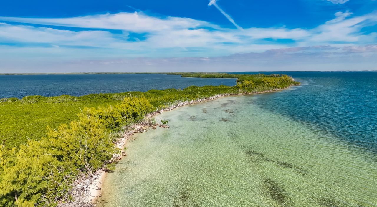 Main Key, Barnes Sound, Key Largo, FL 33037 Photo