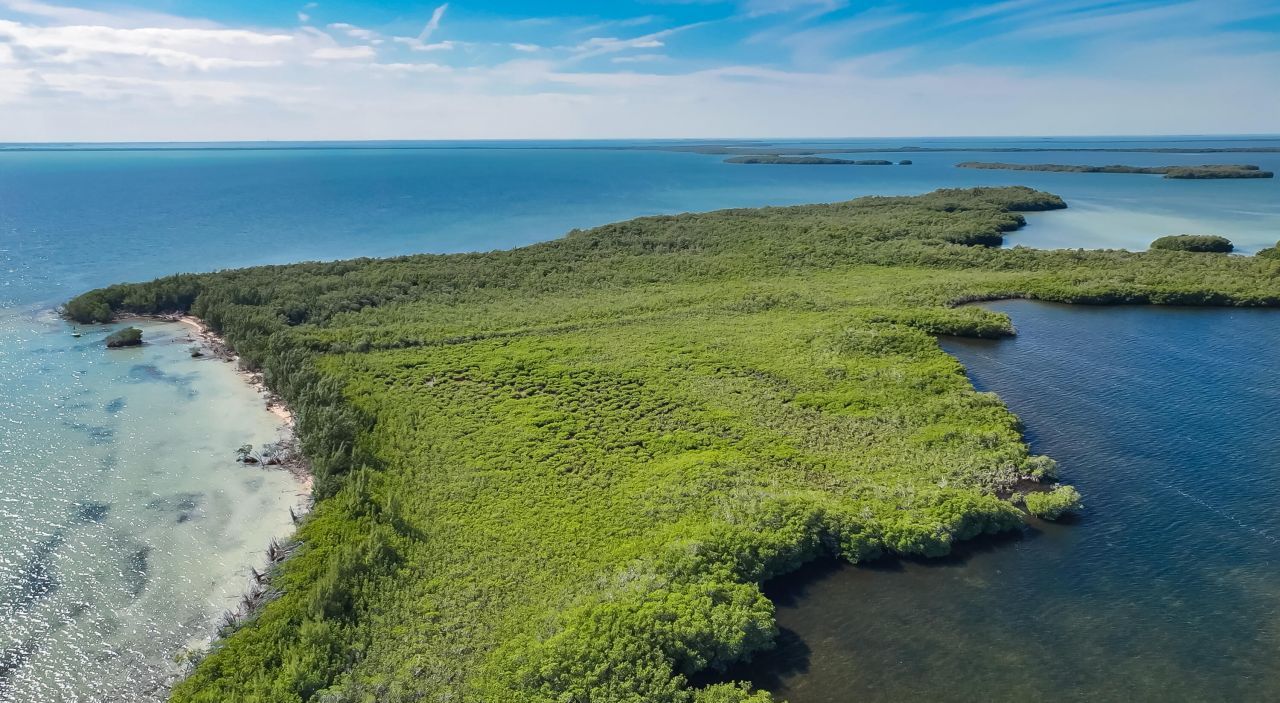 Main Key, Barnes Sound, Key Largo, FL 33037 Photo