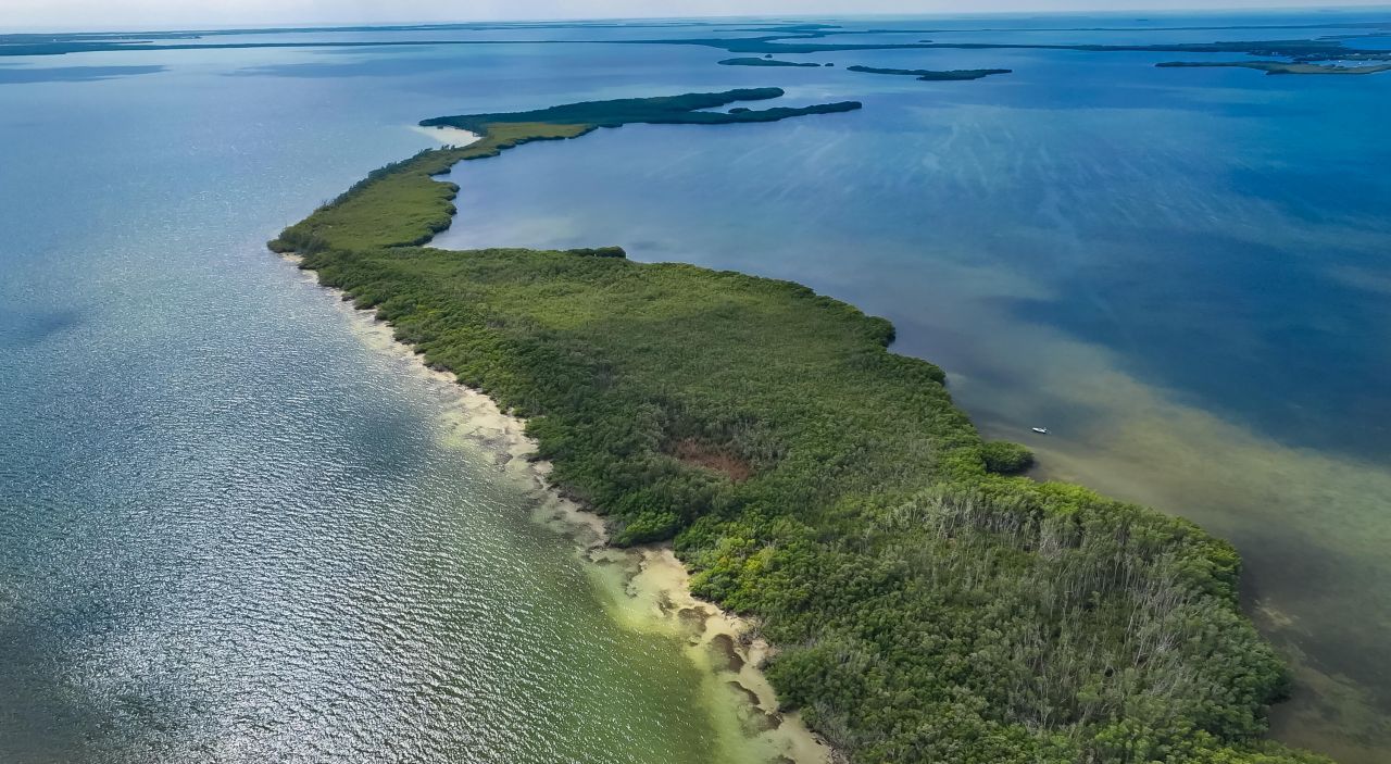 Main Key, Barnes Sound, Key Largo, FL 33037 Photo