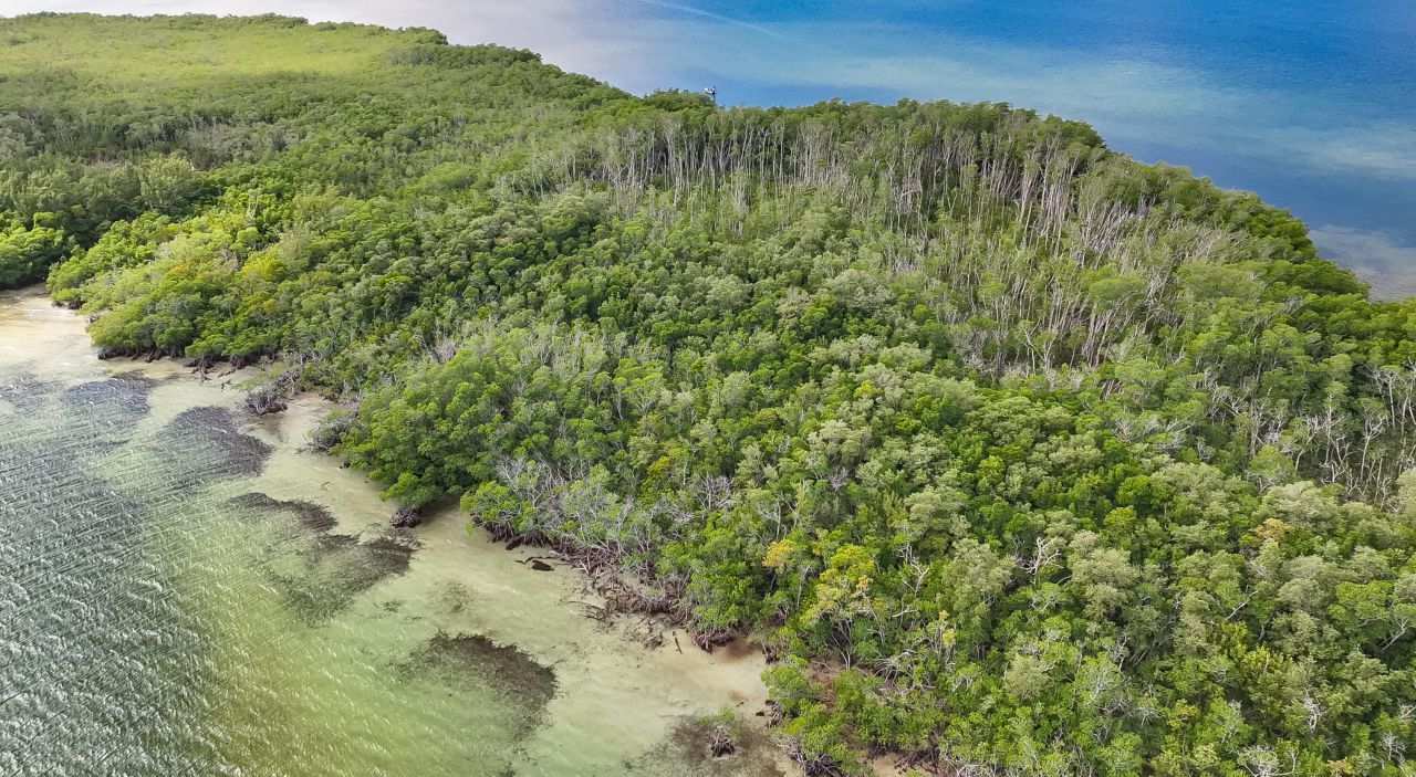 Main Key, Barnes Sound, Key Largo, FL 33037 Photo