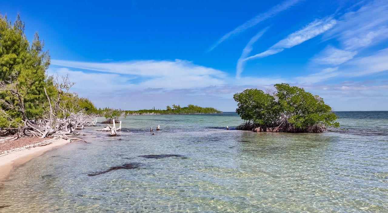 Main Key, Barnes Sound, Key Largo, FL 33037 Photo