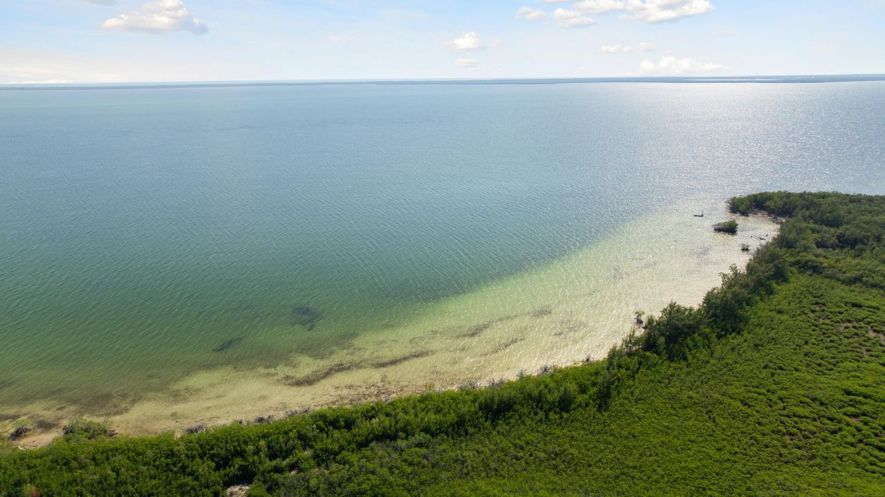 Main Key, Barnes Sound, Key Largo, FL 33037 Photo