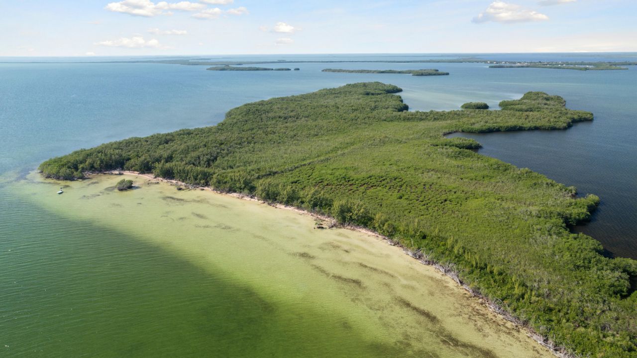 Main Key, Barnes Sound, Key Largo, FL 33037 Photo