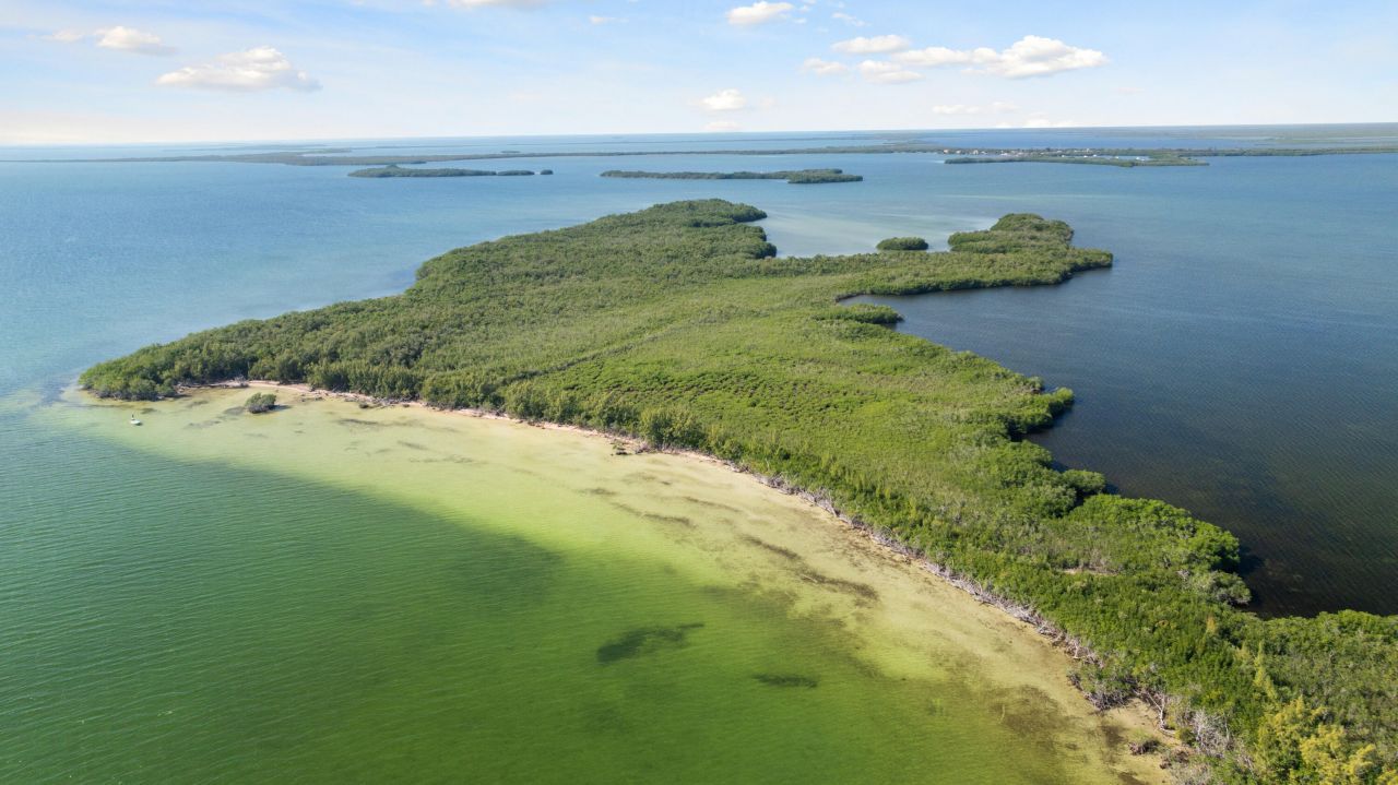 Main Key, Barnes Sound, Key Largo, FL 33037 Photo