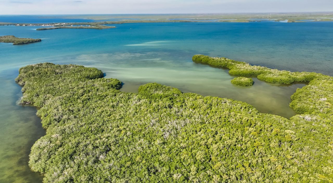 Main Key, Barnes Sound, Key Largo, FL 33037 Photo