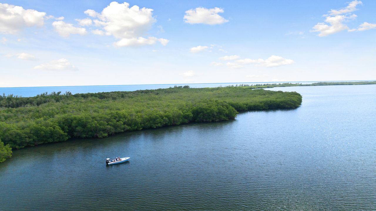 Main Key, Barnes Sound, Key Largo, FL 33037 Photo