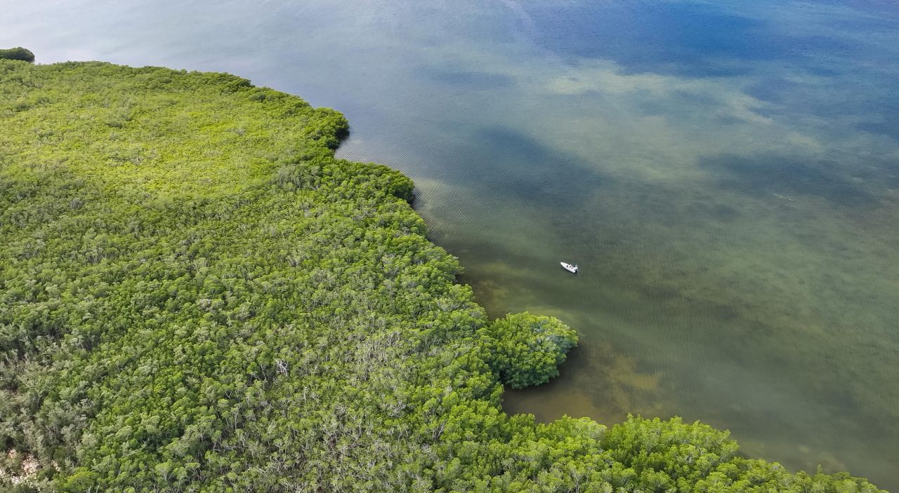 Main Key, Barnes Sound, Key Largo, FL 33037 Photo