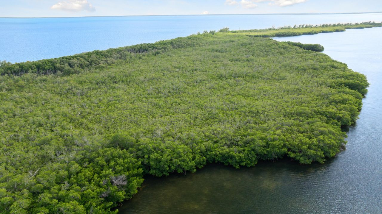 Main Key, Barnes Sound, Key Largo, FL 33037 Photo