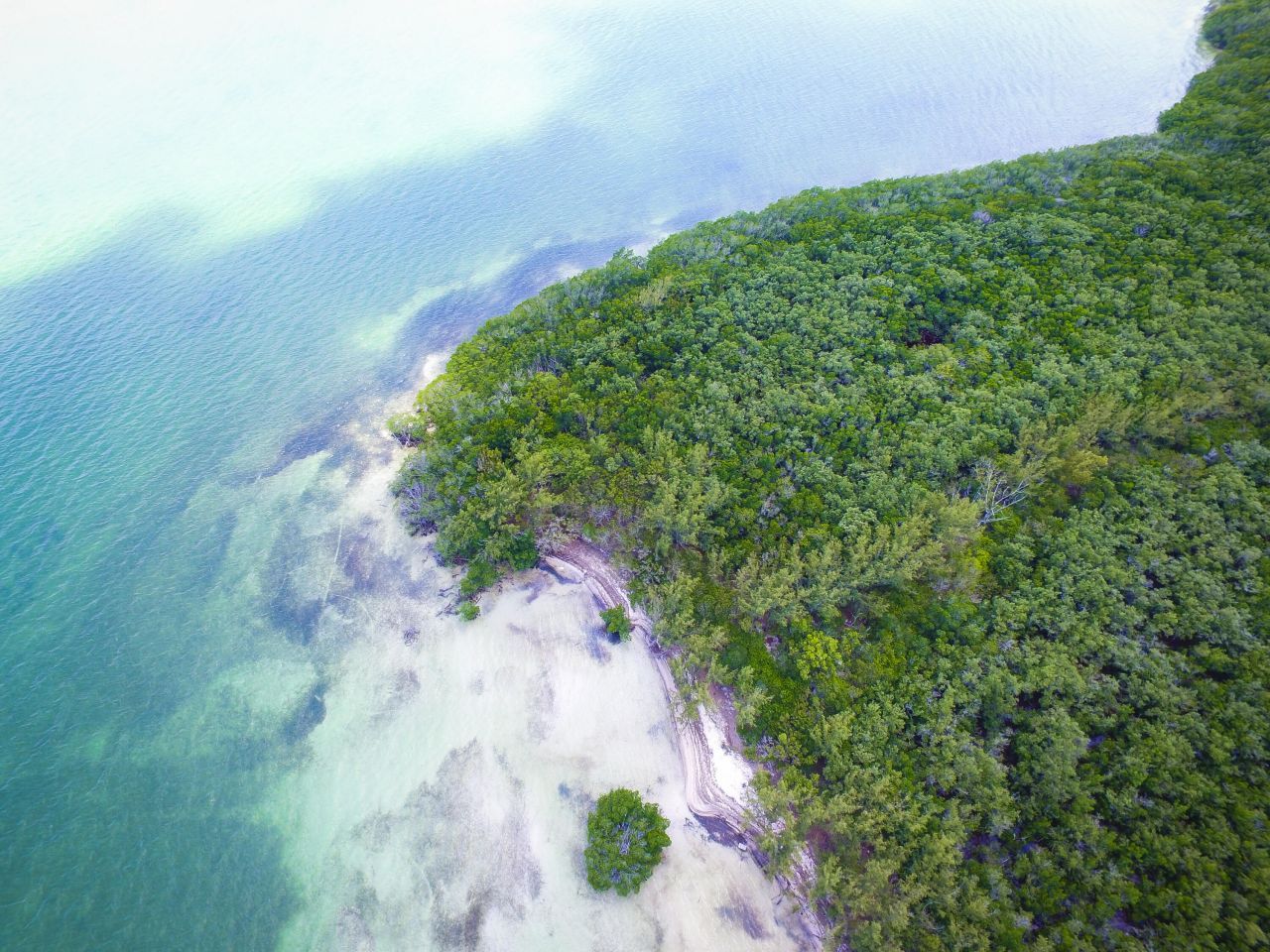Main Key, Barnes Sound, Key Largo, FL 33037 Photo