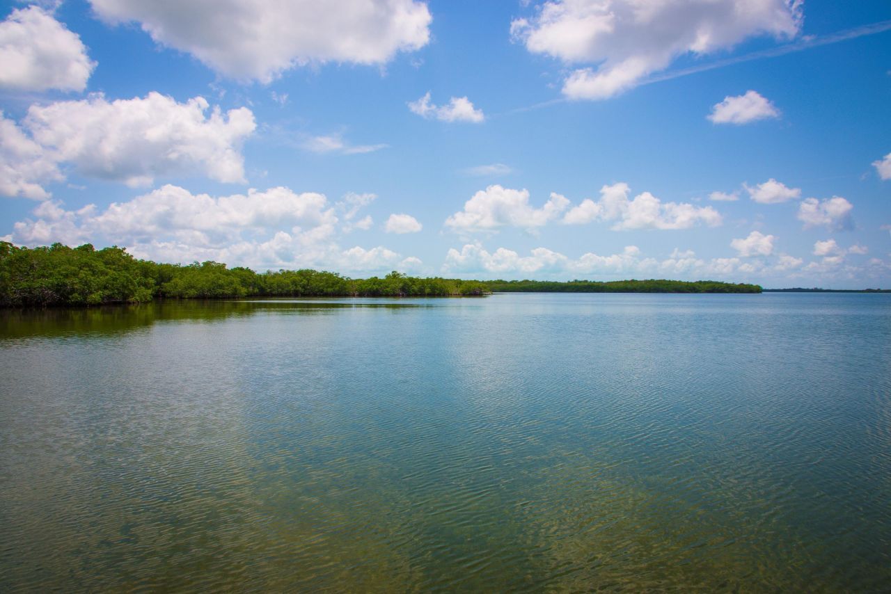 Main Key, Barnes Sound, Key Largo, FL 33037 Photo