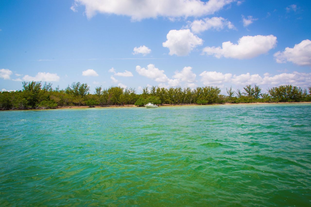 Main Key, Barnes Sound, Key Largo, FL 33037 Photo