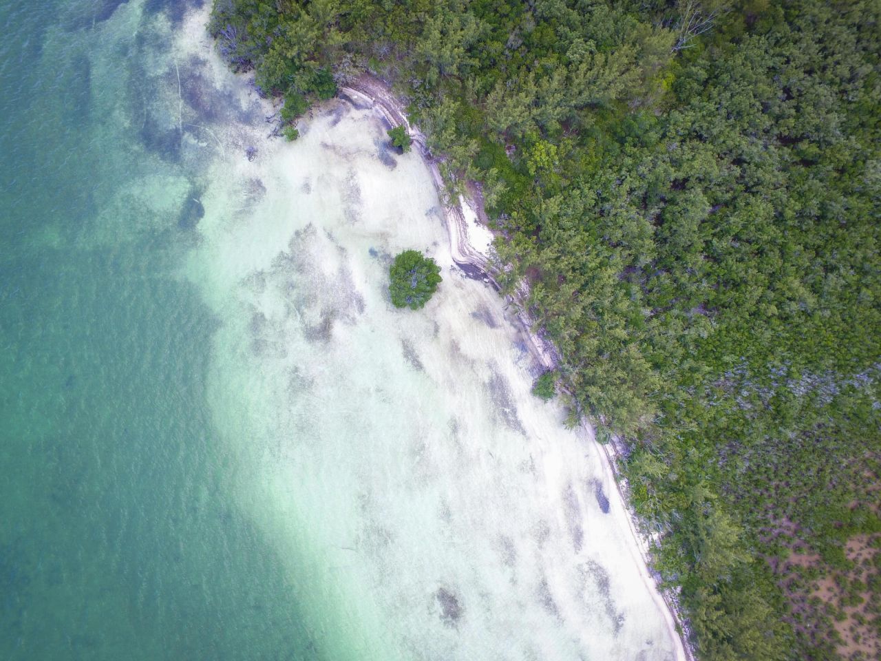 Main Key, Barnes Sound, Key Largo, FL 33037 Photo