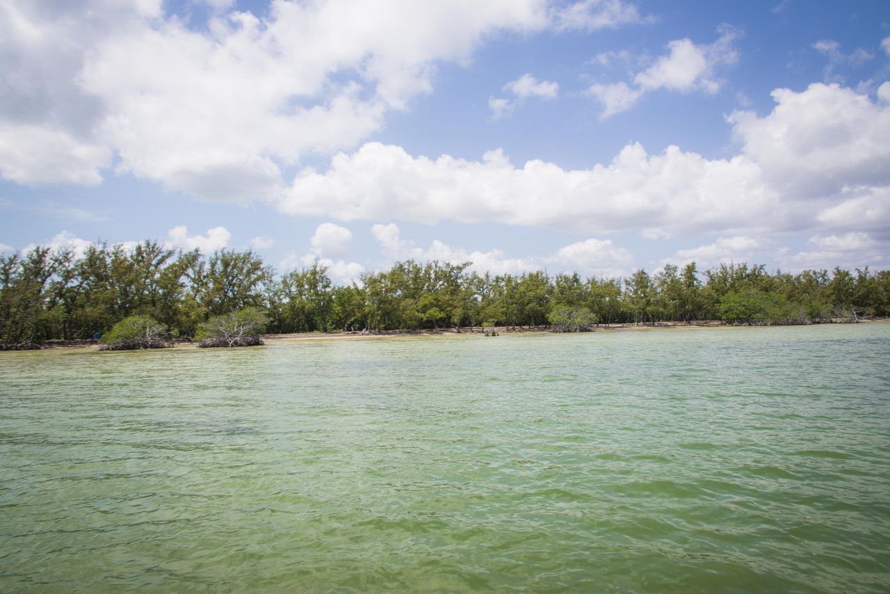 Main Key, Barnes Sound, Key Largo, FL 33037 Photo