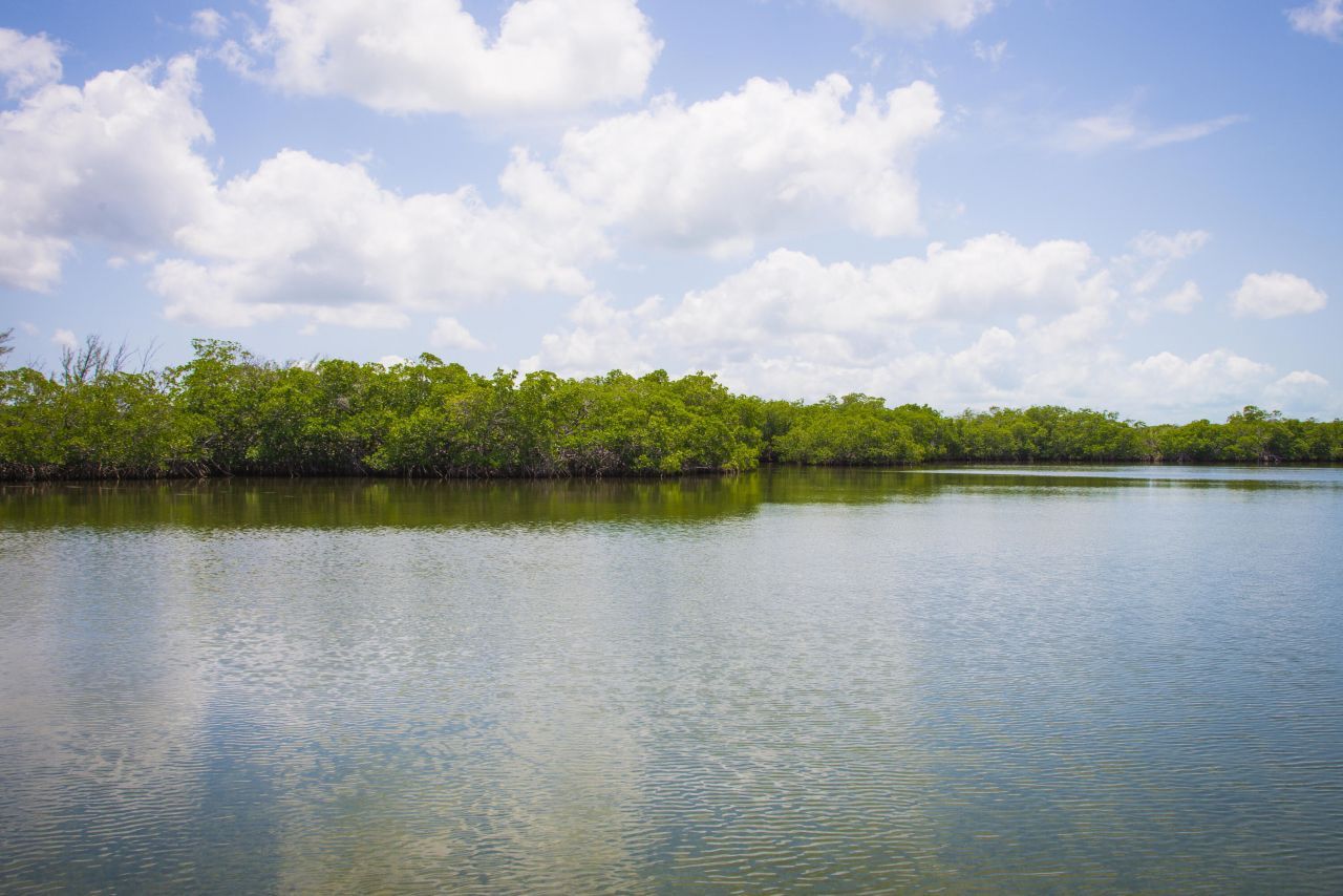 Main Key, Barnes Sound, Key Largo, FL 33037 Photo