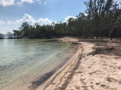 Main Key, Barnes Sound, Key Largo, FL 33037 Photo