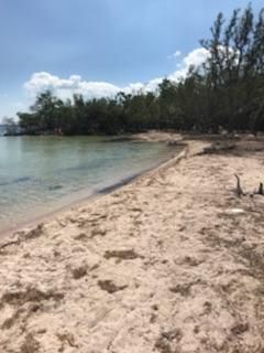 Main Key, Barnes Sound, Key Largo, FL 33037 Photo