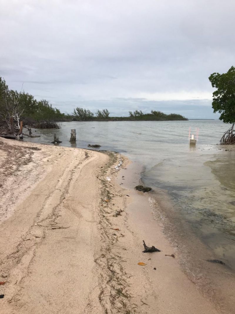 Main Key, Barnes Sound, Key Largo, FL 33037 Photo