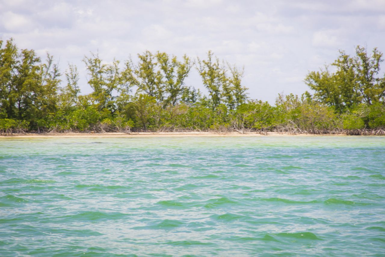 Main Key, Barnes Sound, Key Largo, FL 33037 Photo
