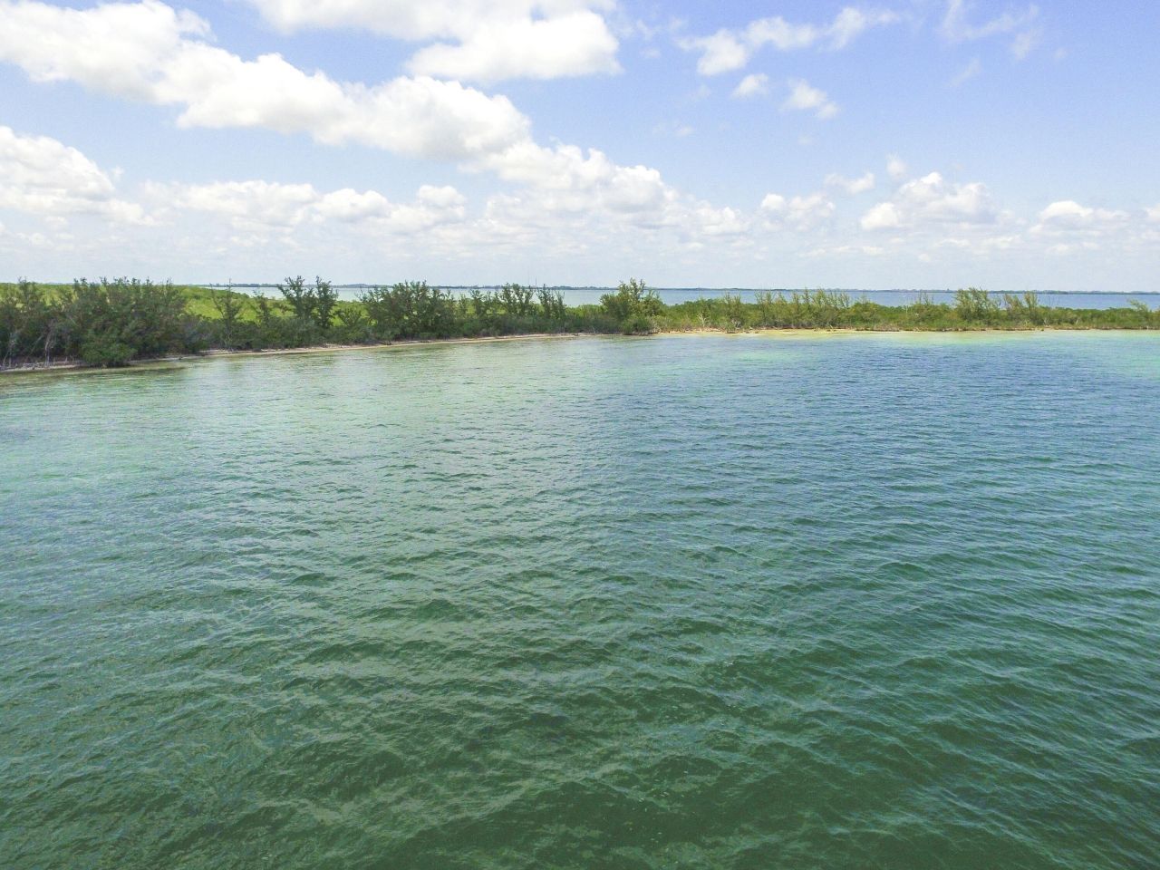 Main Key, Barnes Sound, Key Largo, FL 33037 Photo