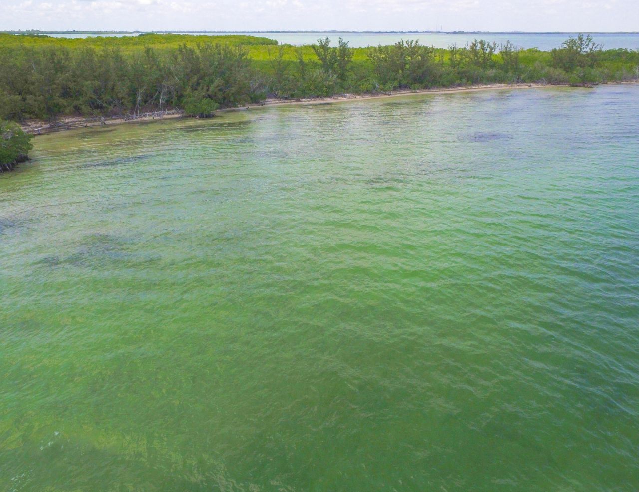 Main Key, Barnes Sound, Key Largo, FL 33037 Photo