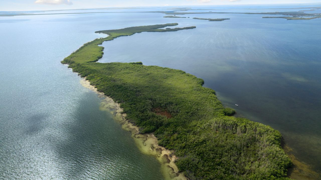 Main Key, Barnes Sound, Key Largo, FL 33037 Photo