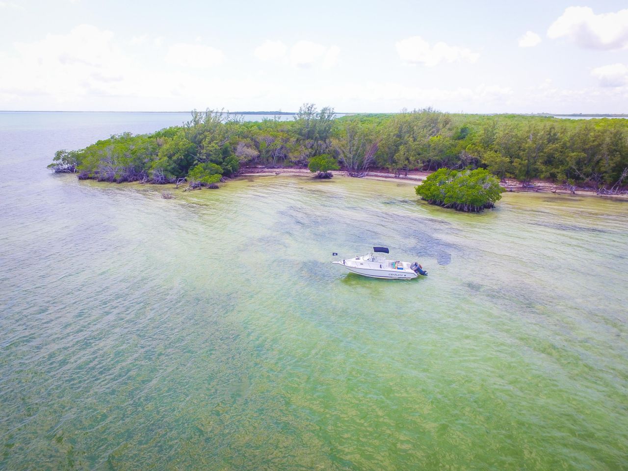 Main Key, Barnes Sound, Key Largo, FL 33037 Photo