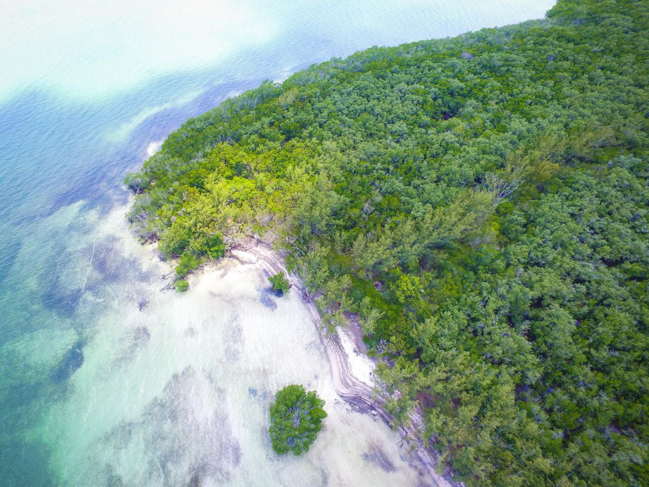 Main Key, Barnes Sound, Key Largo, FL 33037 Photo
