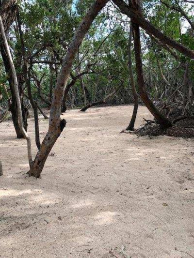 Main Key, Barnes Sound, Key Largo, FL 33037 Photo