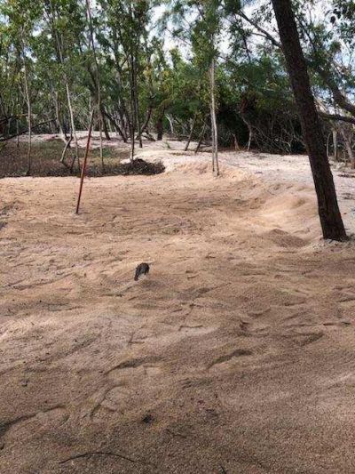 Main Key, Barnes Sound, Key Largo, FL 33037 Photo
