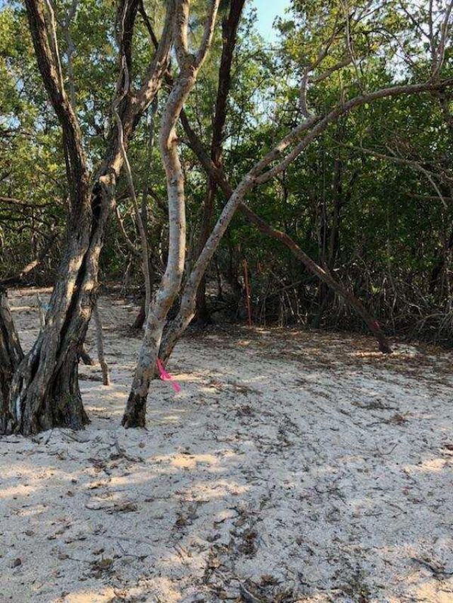 Main Key, Barnes Sound, Key Largo, FL 33037 Photo