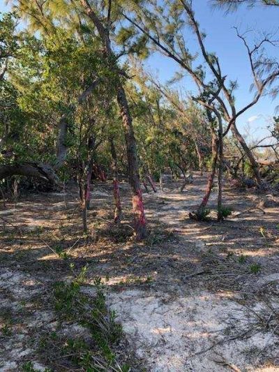 Main Key, Barnes Sound, Key Largo, FL 33037 Photo