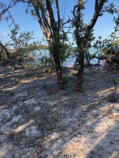 Main Key, Barnes Sound, Key Largo, FL 33037 Photo