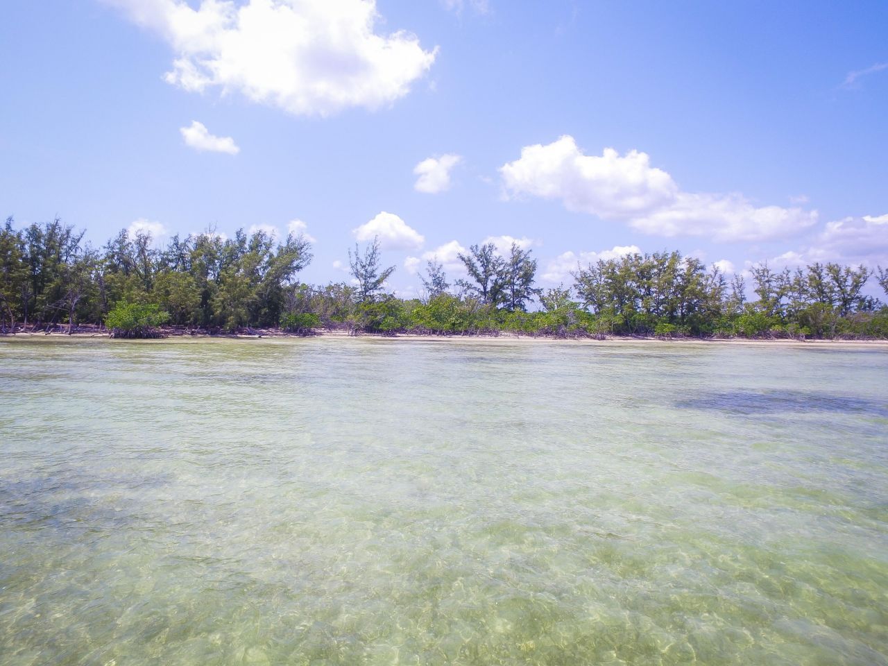 Main Key, Barnes Sound, Key Largo, FL 33037 Photo