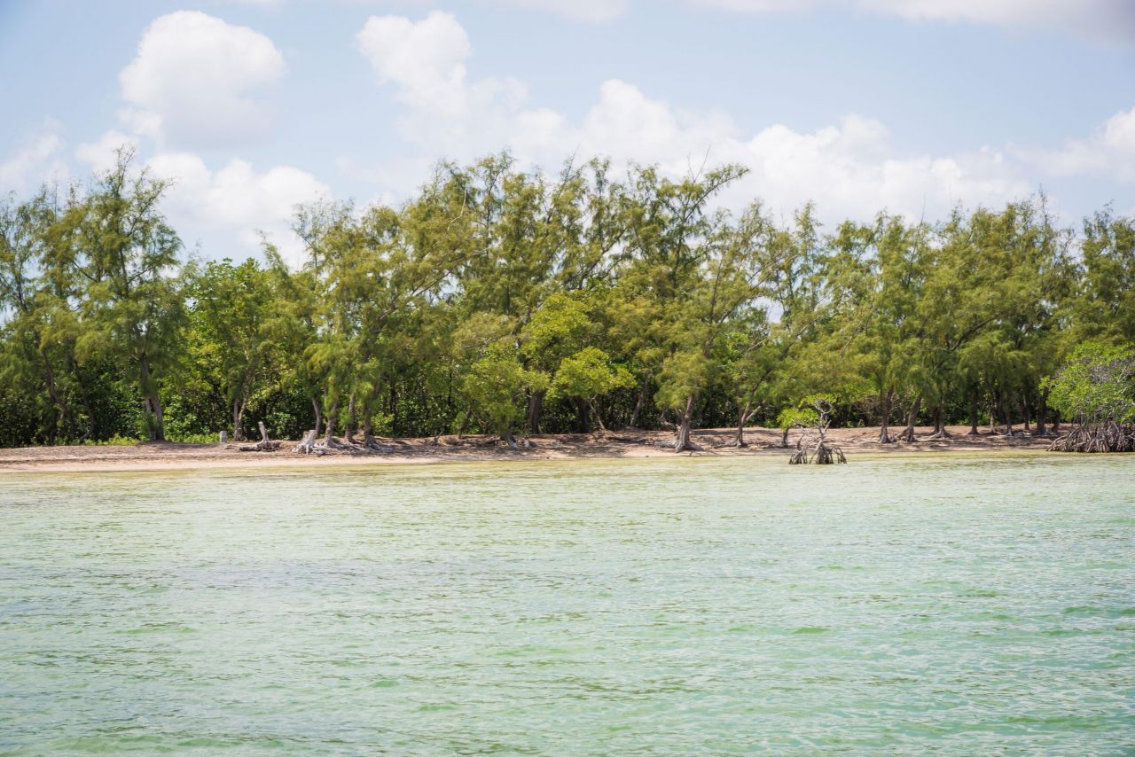 Main Key, Barnes Sound, Key Largo, FL 33037 Photo