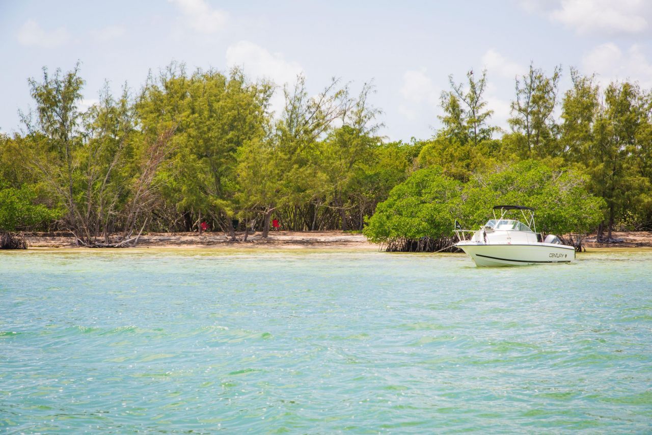 Main Key, Barnes Sound, Key Largo, FL 33037 Photo