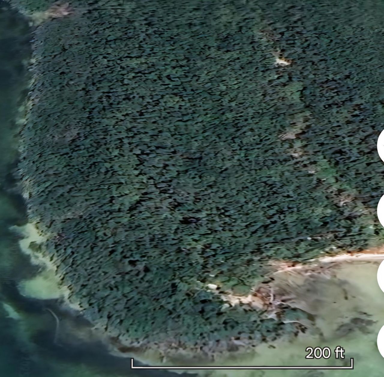 Main Key, Barnes Sound, Key Largo, FL 33037 Photo