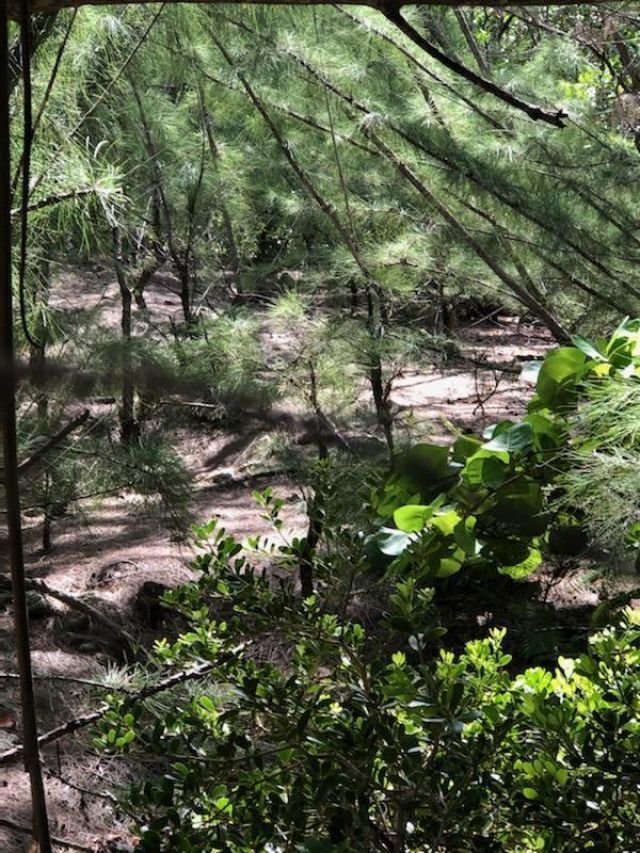 Main Key, Barnes Sound, Key Largo, FL 33037 Photo