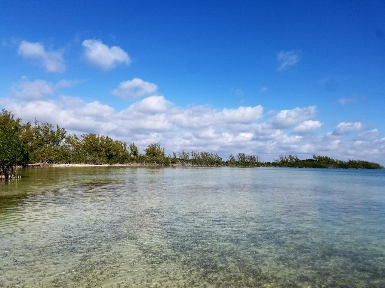 Main Key, Barnes Sound, Key Largo, FL 33037 Photo