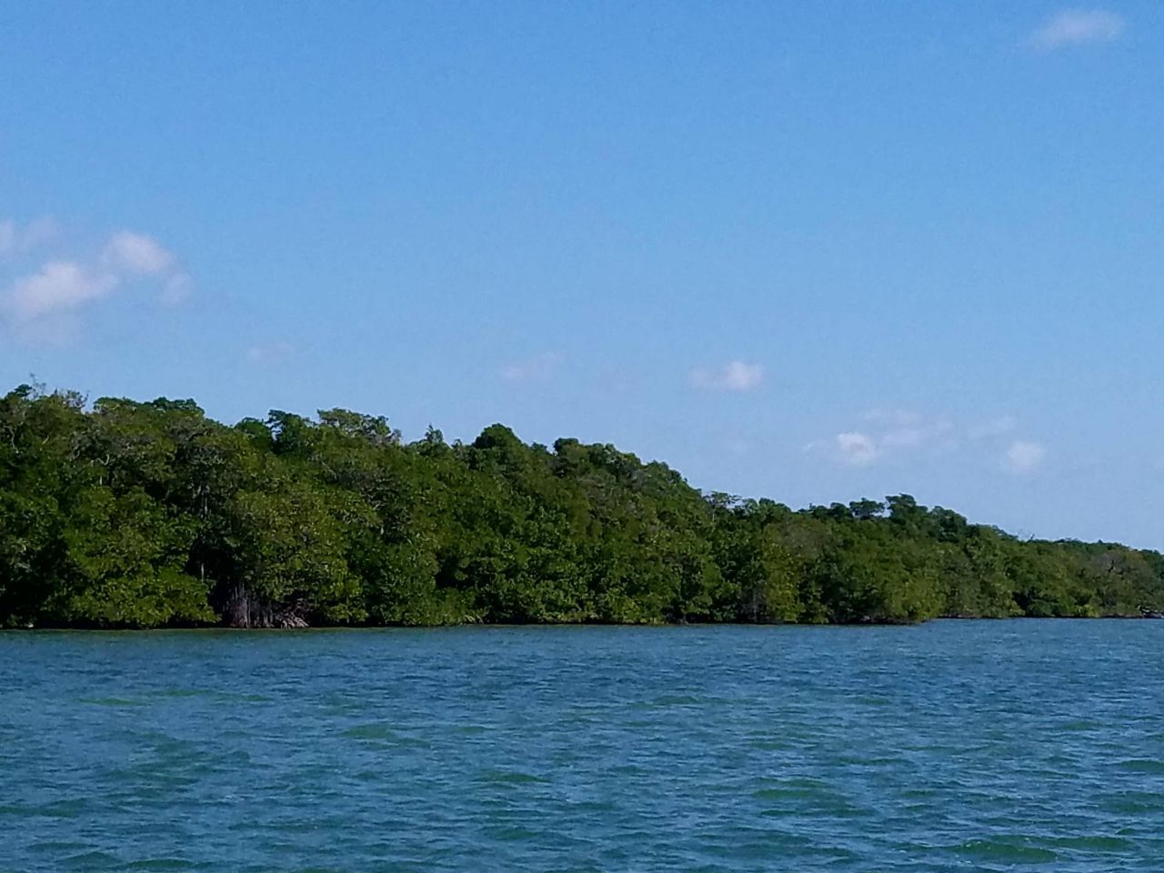 Main Key, Barnes Sound, Key Largo, FL 33037 Photo