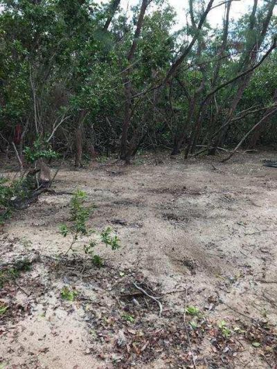 Main Key, Barnes Sound, Key Largo, FL 33037 Photo