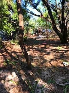 Main Key, Barnes Sound, Key Largo, FL 33037 Photo