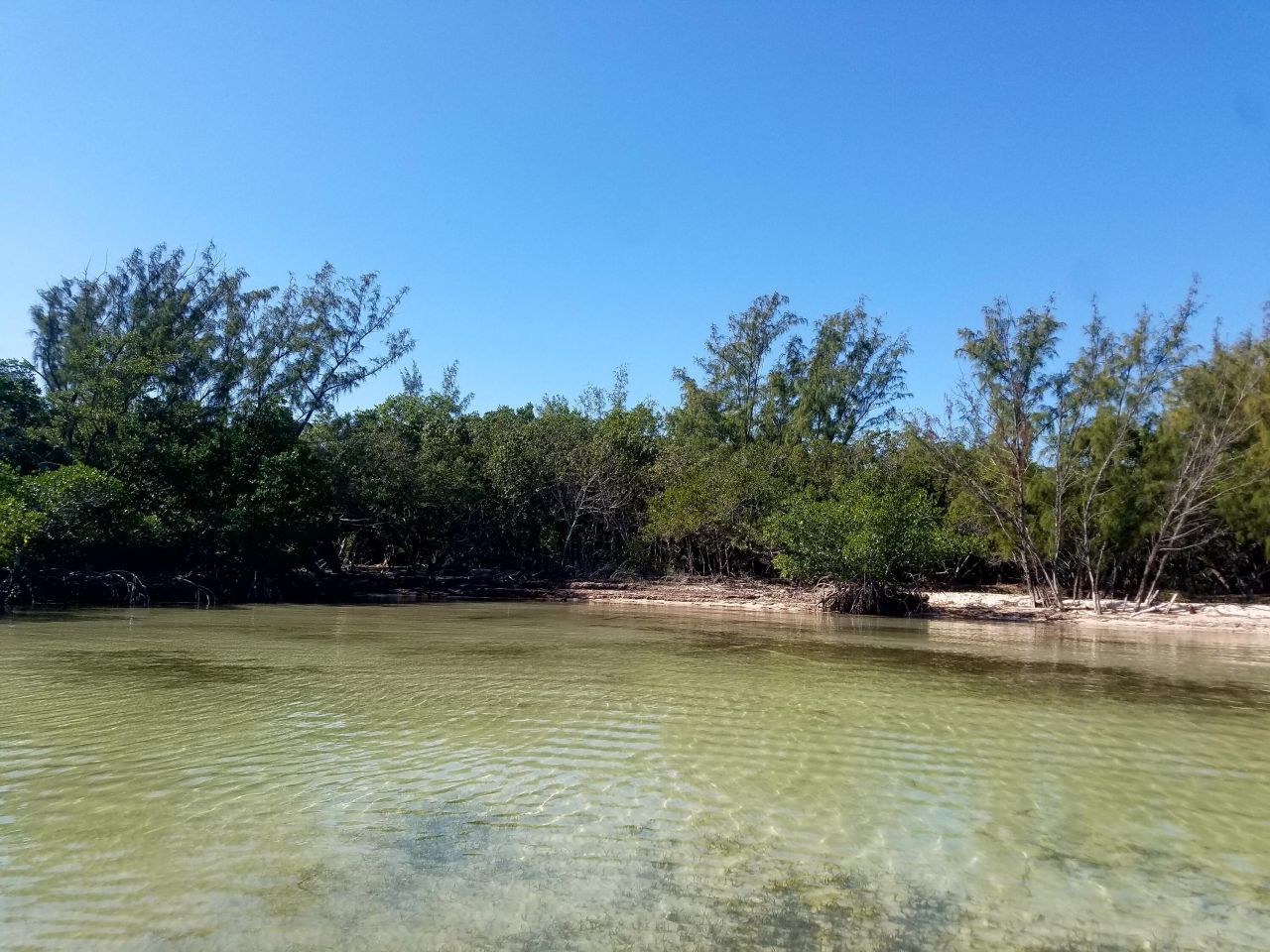 Main Key, Barnes Sound, Key Largo, FL 33037 Photo