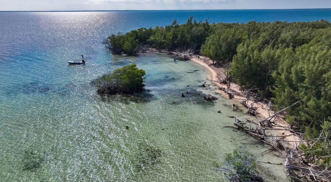 Main Key, Barnes Sound, Key Largo, FL 33037 Photo