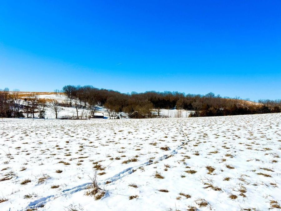 Property Image 103