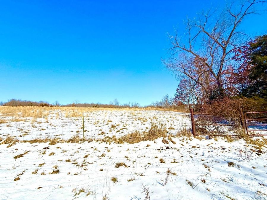Property Image 104