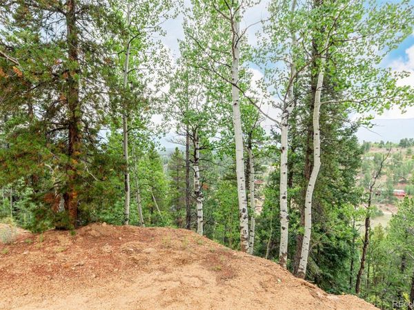 427 Wise Road , Bailey, CO 80421