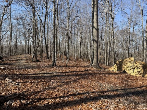 0 Spence Ln, Hilham, TN 38568