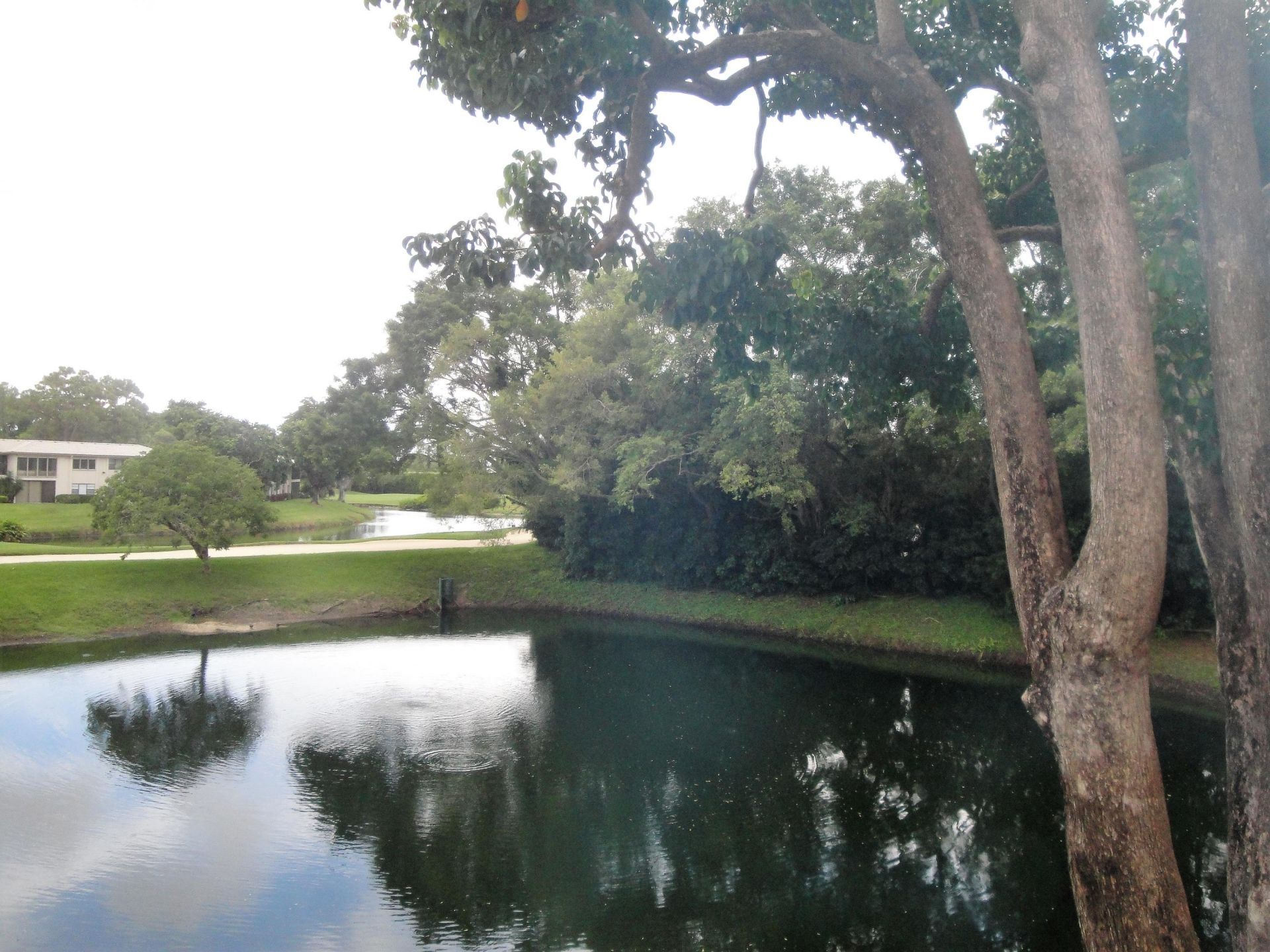 20 Westgate Lane, Unit F, Boynton Beach, FL 33436 Photo