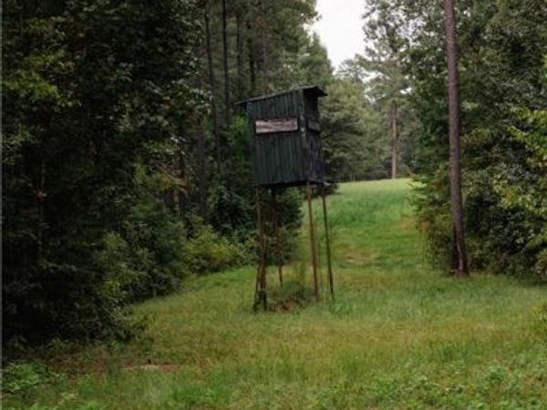 0 HWY 1199, Elmer, LA 71424