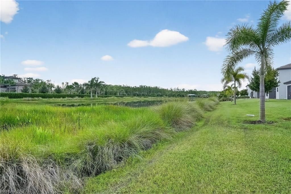 20111 Camellia Crosse Ln, Estero, FL 33928 Photo